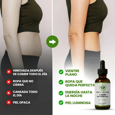 Gotas de Clorofila Motor Linfatico® | Desintoxicación Natural
