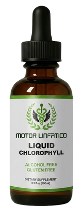 Motor Linfatico