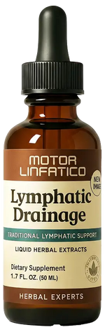 MOTOR LINFATICO